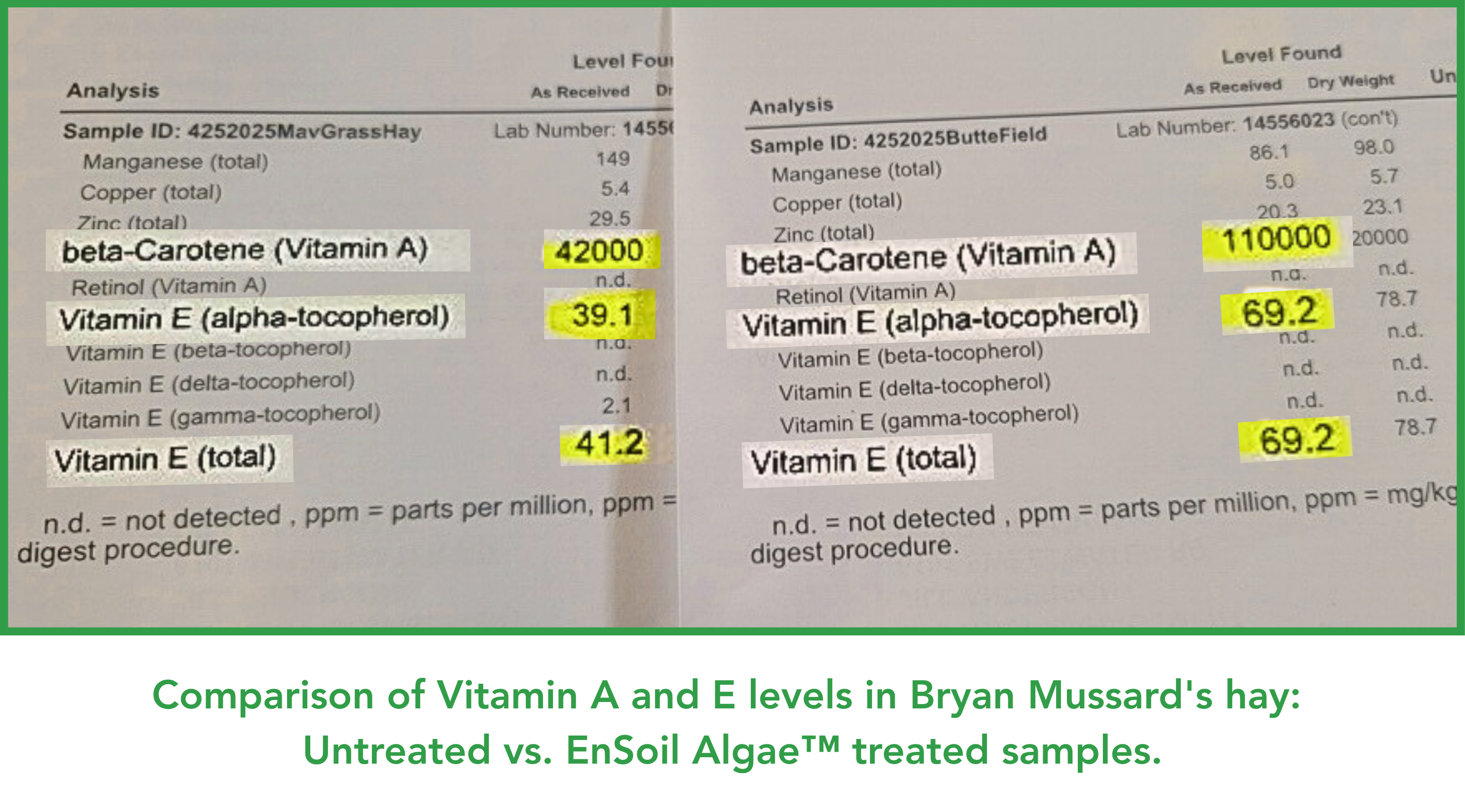 Bryan Vitamin Data